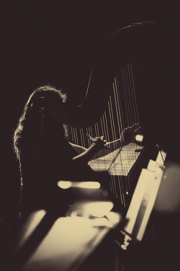 Silhouette of a woman playing the harp during a concert, captured in a dramatic low light setting.